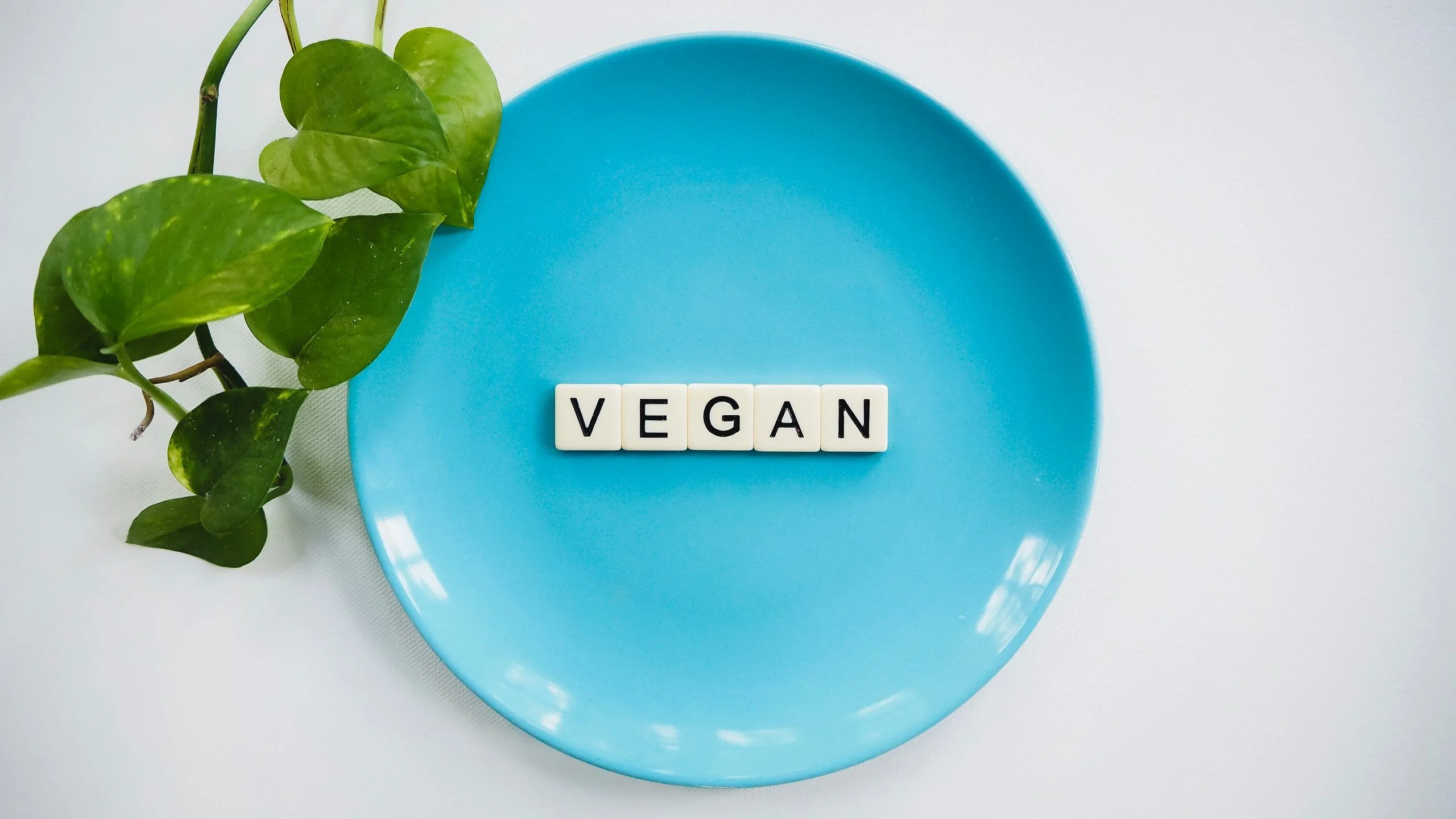 Vegan Holiday Dinner Options