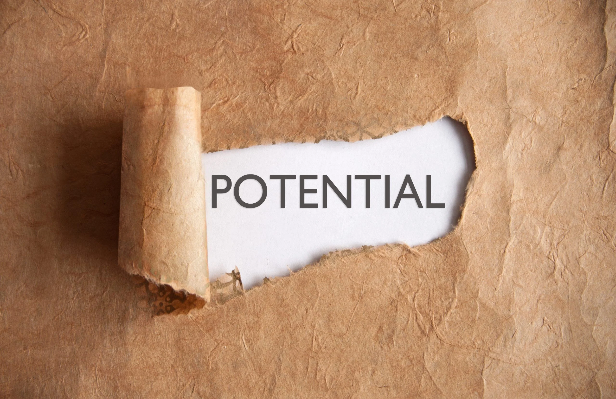 Perceptions, Practices, and Potential