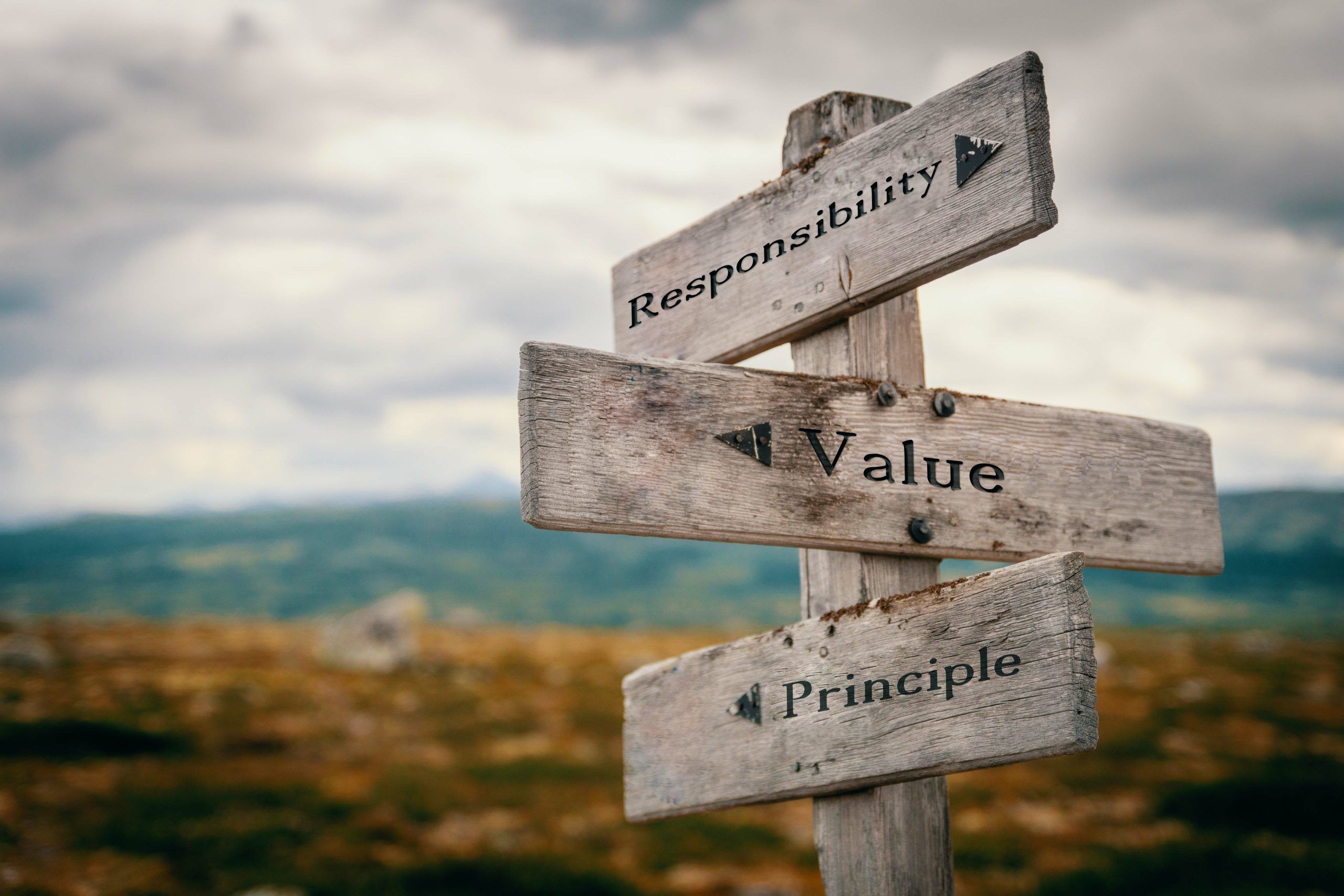 what-are-your-guiding-life-principles.jpeg What are Your Guiding Life Principles?