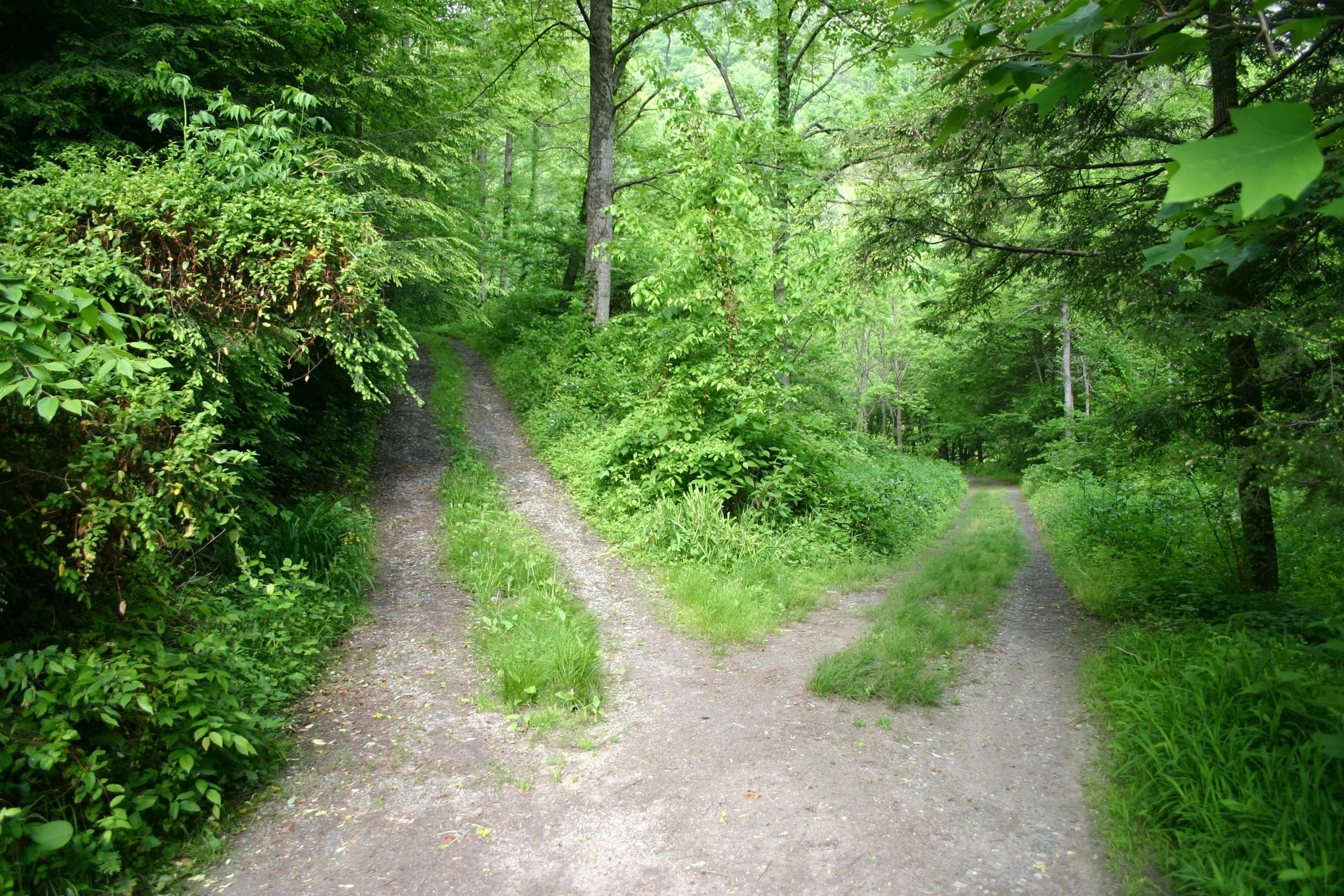 The Road Less Traveled